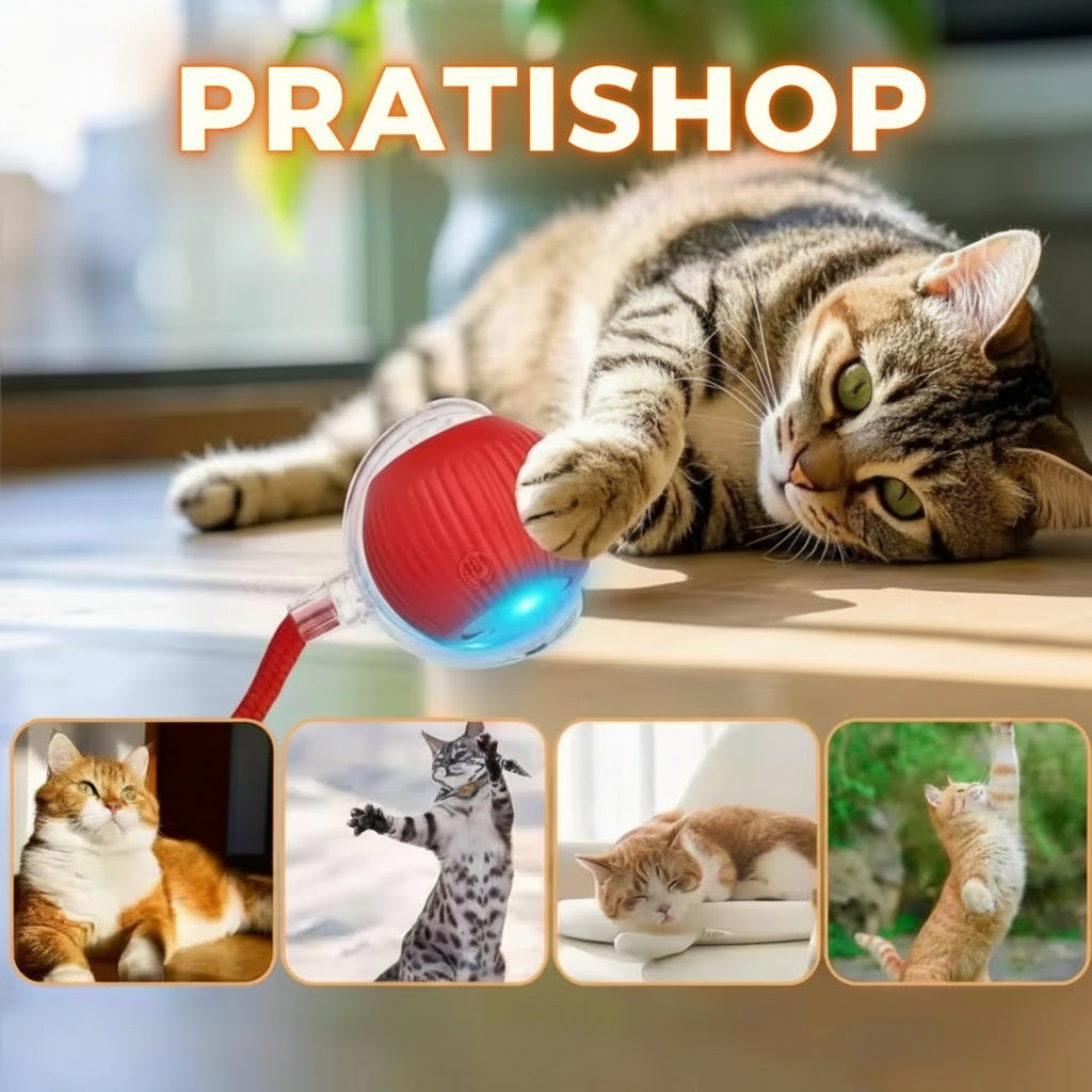 Balle Interactive Rechargeable pour Chat – Queue Agitée