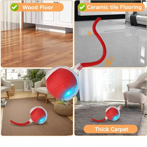 Balle Interactive Rechargeable pour Chat – Queue Agitée