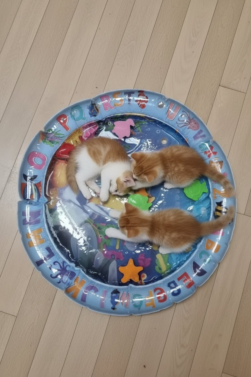Tapis de Jeu Interactif pour Chat – 65 cm