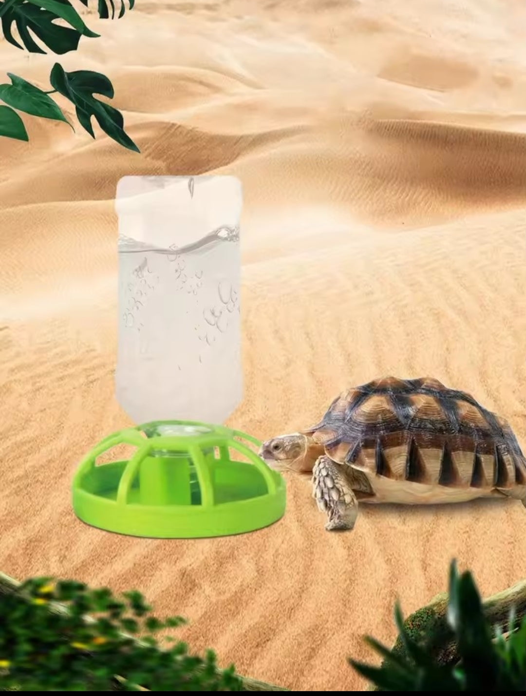 Abreuvoir Automatique pour Reptiles – Tortues, Iguanes & Lézards