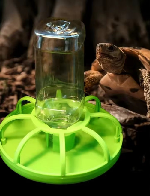 Abreuvoir Automatique pour Reptiles – Tortues, Iguanes & Lézards