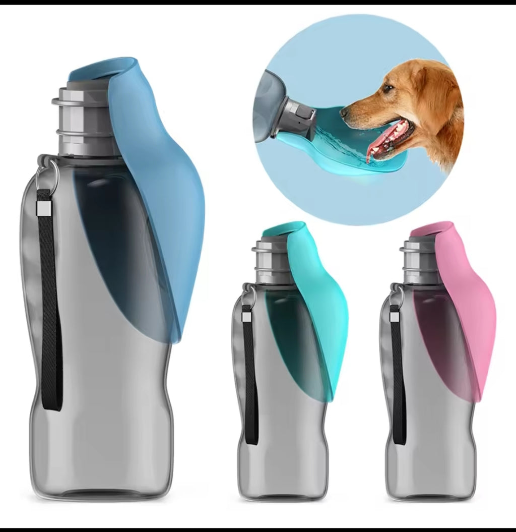 Gourde pour chien