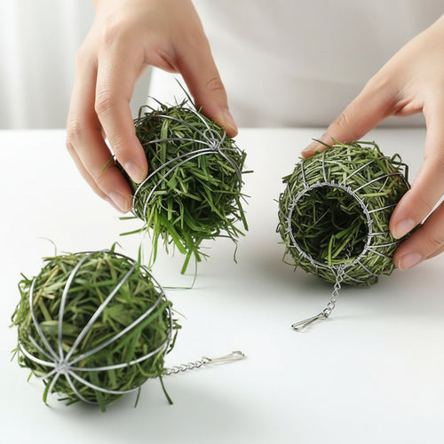 Boule Distributrice de Foin en Inox – Lapin & Rongeurs