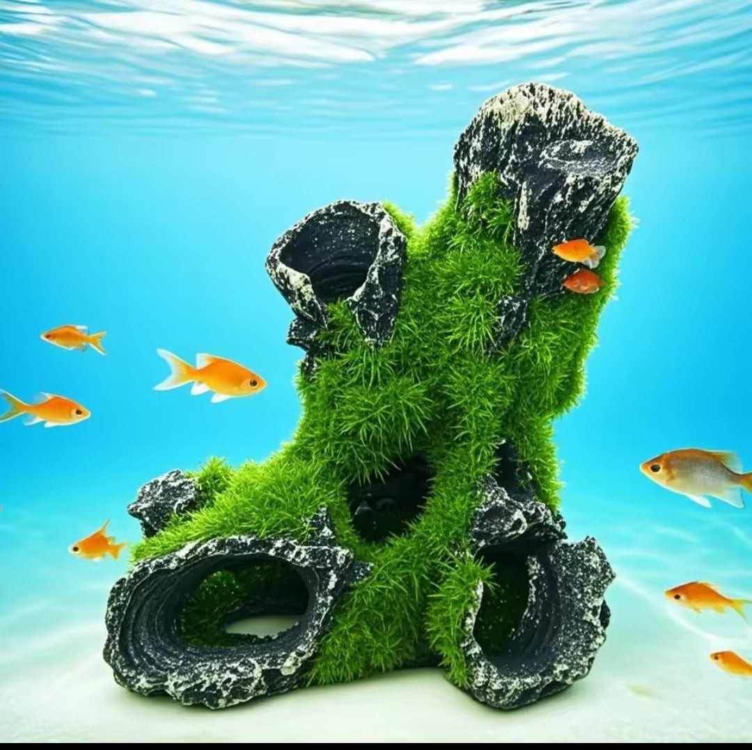 Souche Aquarium Mousse – Refuge Naturel pour Poissons