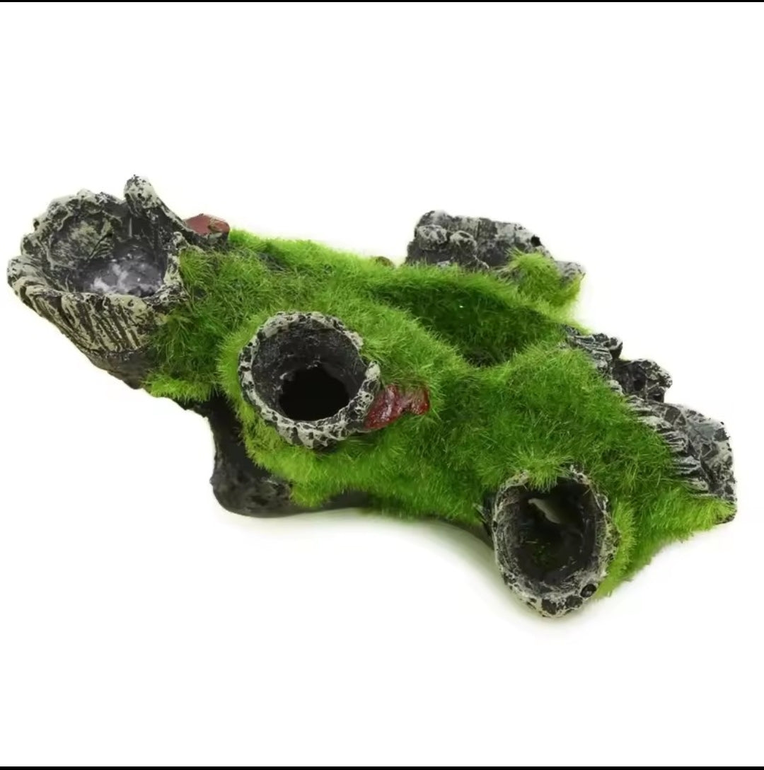 Souche Aquarium Mousse – Refuge Naturel pour Poissons