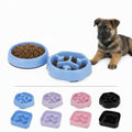 Bol Anti-Glouton pour Chien – 15 cm – 4 Couleurs