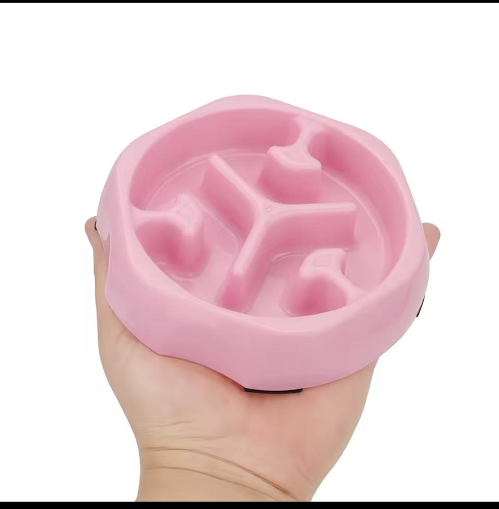 Bol Anti-Glouton pour Chien – 15 cm – 4 Couleurs